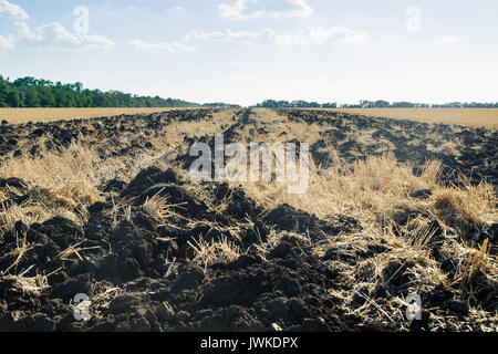 Champ labouré de sillons après le blé. Contexte agricole Banque D'Images