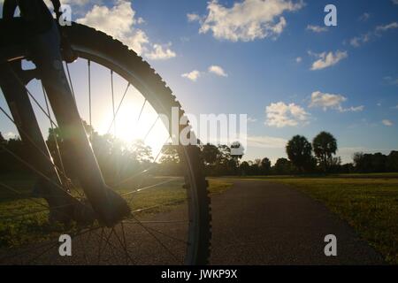 Soleil derrière roue de bicyclette sur piste en béton entouré d'herbe verte avec des arbres dans la distance au coucher du soleil Banque D'Images