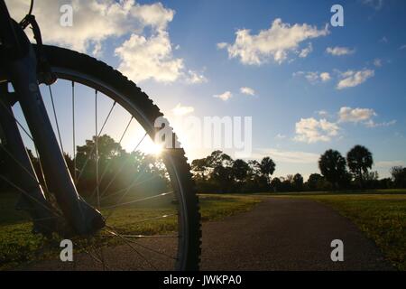 Soleil derrière roue de bicyclette sur piste en béton entouré d'herbe verte avec des arbres dans la distance au coucher du soleil Banque D'Images