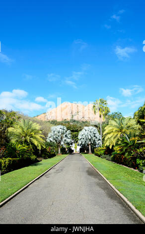 Queen's Park Botanic Garden avec une vue de la colline du château en arrière-plan, Townsville, Queensland, Queensland, Australie Banque D'Images