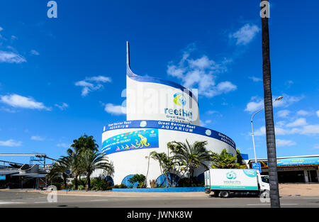 Great Barrier Reef Aquarium ReefHQ, Townsville, Queensland, Queensland, Australie Banque D'Images