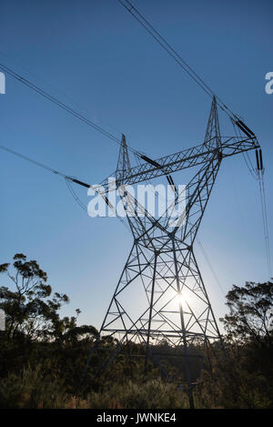 Lignes électriques haute tension et pylônes transportant 133 kv d'énergie en Nouvelle-Galles du Sud, Australie Banque D'Images