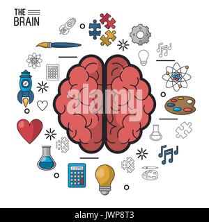 Affiche en couleurs le cerveau en vue d'en haut de ses deux hémisphères et icônes autour Illustration de Vecteur