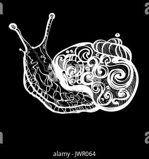 Hand drawn doodle vector illustration escargot contour décoré avec des ornements abstrait. Mobochrome Résumé dessin escargot Illustration de Vecteur