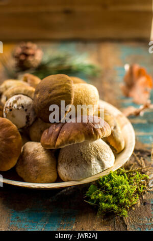 Savoureuse - porcini cèpes frais muchrooms chêne, de haute qualité, prête à cuire avec le riz, les pommes de terre et dans la soupe Banque D'Images