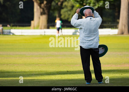 Une soirée d'été du cricket à Toft Cricket Club à Bootes Park, Knutsford, Cheshire au cours d'un jeu de cricket Banque D'Images