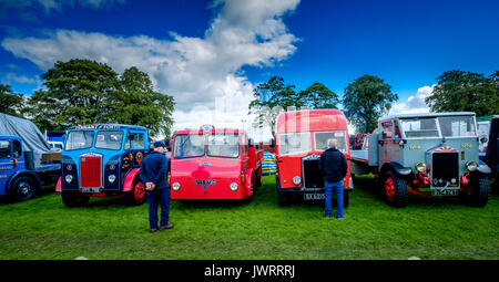 Biggar, South Lanarkshire - 44e rallye de véhicules anciens. Une vue générale de l'exposition champ avec deux mâles à la recherche de camions à vintage. Banque D'Images