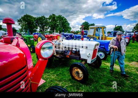 Biggar, South Lanarkshire - 44e rallye de véhicules anciens. Un homme d'admirer les tracteurs d'époque. Banque D'Images