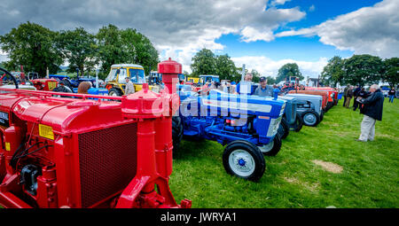 Biggar, South Lanarkshire - 44e rallye de véhicules anciens. Un homme d'admirer les tracteurs d'époque. Banque D'Images