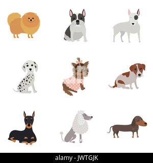 Jeu de chiens de races différentes. Spitz, bouledogue, bull terrier, Yorkshire, dalmates, doberman, caniche, teckel, Jack Russell. Furry amis humains cu Banque D'Images