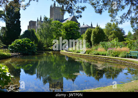 Vue de la cathédrale de Wells de la Bishop's Palace Gardens, Wells, Somerset, Angleterre Banque D'Images