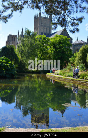 Vue de la cathédrale de Wells de la Bishop's Palace Gardens, Wells, Somerset, Angleterre Banque D'Images