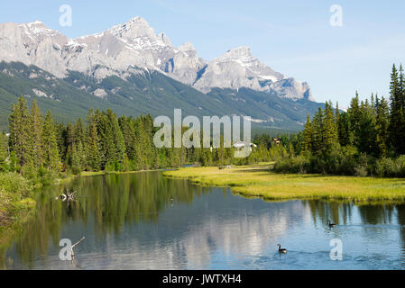 La rivière Bow circulant dans la région de Canmore Banff National Park avec forêt de pins et de Montagnes Rocheuses, Alberta Canada Banque D'Images