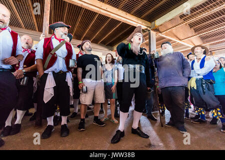 Broadstairs folk, chant populaire Semaine de chants de la mer. Hommes habillés en 18e et 19e siècle des marins en salle ouverte en bois, en chantant des chansons de la mer shantie. Low angle view. Banque D'Images