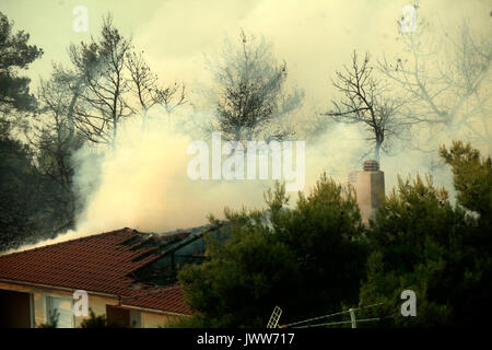 Athènes. 13e Août 2017. La fumée monte d'un toit d'une maison après un incendie a éclaté dans une zone forestière dans le nord de la banlieue athénienne de Kalamos, le 13 août 2017. Un important feu de forêt a éclaté dans la banlieue d'Athènes le dimanche, causant des dommages-intérêts, selon l'agence de presse d'Athènes. Credit : Christos Bonis/Xinhua/Alamy Live News Banque D'Images