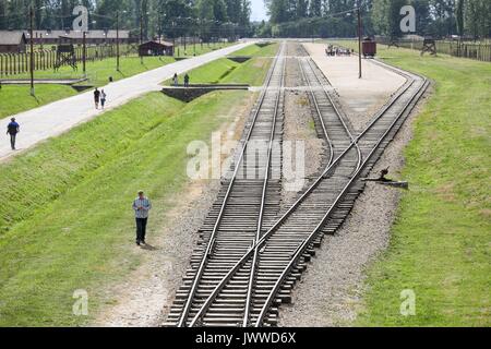 Les visiteurs marchent à travers l'ancien camp de concentration d'Auschwitz-Birkenau à Oswiecim, Pologne, 26 juin 2017. La principale organisation paramilitaire de l'Allemagne nazie, SS (Schutzstaffel, allumé. L'Escadron 'Protection'), a couru le camp de la mort et de concentration entre 1940 et 1945. Les personnes expulsées ont été choisis en différents groupes sur la rampe entre les pistes juste après leur arrivée à Birkenau. Les personnes qui n'ont pas été en mesure de travailler (les personnes âgées, faibles, femmes, enfants) sont parfois envoyés à la chambre à gaz sans enregistrement. Environ 1,1 à 1,5 millions de personnes, la plupart d'entre eux, ont être Juif Banque D'Images