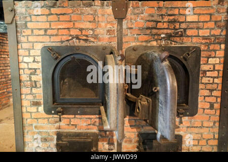 Ce qu'on appelle le double four à moufle faites par la société Topf d'Erfurt, Allemagne, est debout dans le crématorium 1 dans l'ancien camp de concentration d'Auschwitz à Oswiecim, Pologne, 26 juin 2017. La principale organisation paramilitaire de l'Allemagne nazie, SS (Schutzstaffel, allumé. L'Escadron 'Protection'), a couru le camp de la mort et de concentration entre 1940 et 1945. Environ 1,1 à 1,5 millions de personnes, pour la plupart des juifs, ont été tués dans le camp et ses satellites. Auschwitz est le symbole pour le meurtre de masse industrialisé et l'holocauste de l'Allemagne nazie. Photo : Jan Woitas/dpa-Zentralbild/ Banque D'Images