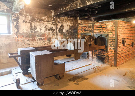 Ce qu'on appelle le double four à moufle faites par la société Topf d'Erfurt, Allemagne, est debout dans le crématorium 1 dans l'ancien camp de concentration d'Auschwitz à Oswiecim, Pologne, 26 juin 2017. La principale organisation paramilitaire de l'Allemagne nazie, SS (Schutzstaffel, allumé. L'Escadron 'Protection'), a couru le camp de la mort et de concentration entre 1940 et 1945. Environ 1,1 à 1,5 millions de personnes, pour la plupart des juifs, ont été tués dans le camp et ses satellites. Auschwitz est le symbole pour le meurtre de masse industrialisé et l'holocauste de l'Allemagne nazie. Photo : Jan Woitas/dpa-Zentralbild/ Banque D'Images