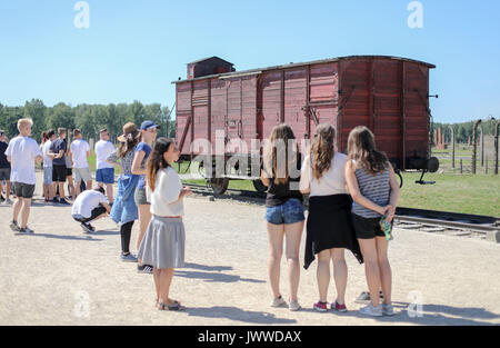 Les visiteurs sont à la recherche d'un wagon de marchandises, près de la fameuse rampe dans l'ancien camp de concentration d'Auschwitz à Oswiecim, Pologne, 26 juin 2017. La principale organisation paramilitaire de l'Allemagne nazie, SS (Schutzstaffel, allumé. L'Escadron 'Protection'), a couru le camp de la mort et de concentration entre 1940 et 1945. Les personnes expulsées ont été choisis en différents groupes juste après leur arrivée à Birkenau. Les faibles et les malades étaient parfois directement envoyer dans de chambres à gaz sans même leur enregistrement. Environ 1,1 à 1,5 millions de personnes, pour la plupart des juifs, ont été tués dans le camp et son sa Banque D'Images