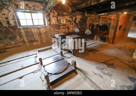 Ce qu'on appelle le double four à moufle faites par la société Topf d'Erfurt, Allemagne, est debout dans le crématorium 1 dans l'ancien camp de concentration d'Auschwitz à Oswiecim, Pologne, 26 juin 2017. La principale organisation paramilitaire de l'Allemagne nazie, SS (Schutzstaffel, allumé. L'Escadron 'Protection'), a couru le camp de la mort et de concentration entre 1940 et 1945. Environ 1,1 à 1,5 millions de personnes, pour la plupart des juifs, ont été tués dans le camp et ses satellites. Auschwitz est le symbole pour le meurtre de masse industrialisé et l'holocauste de l'Allemagne nazie. Photo : Jan Woitas/dpa-Zentralbild/ Banque D'Images