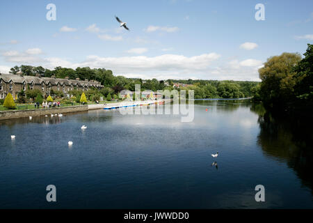 Otley, Leeds, Royaume-Uni. 14 août, 2017. Barques sur la rivière Wharfe, première fois depuis 2001 : Crédit Les Wagstaff/Alamy Live News Banque D'Images