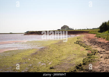 Le petit village de Victoria par la mer sur l'Île du Prince-Édouard au Canada Banque D'Images