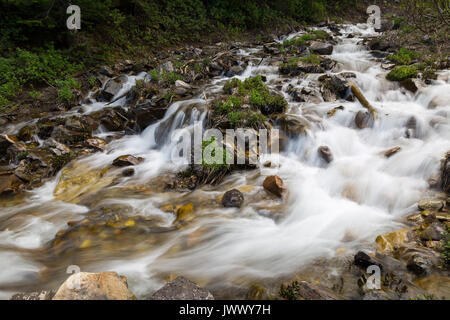 Une cascade d'eau couler sur les rochers, comme la fonte de la neige à partir de la région du col de Phillips l'envoie vers le Teton Mountains. La Forêt nationale de Bridger-Teton, Banque D'Images