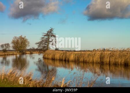 Beau paysage Teufelsmoor près de Brême - Allemagne Banque D'Images
