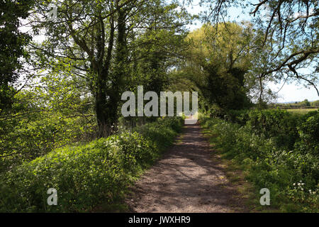 Sentier le long de la Petite Rivière Avon à Berkeley, Gloucestershire, Royaume-Uni - est une agréable promenade bordée d' entre les champs pour les randonneurs ou les poussettes. Banque D'Images