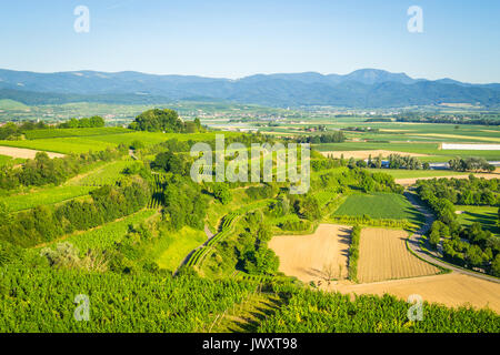 Vue depuis le à Fribourg-en-Brisgau, Tuniberg - Allemagne Banque D'Images