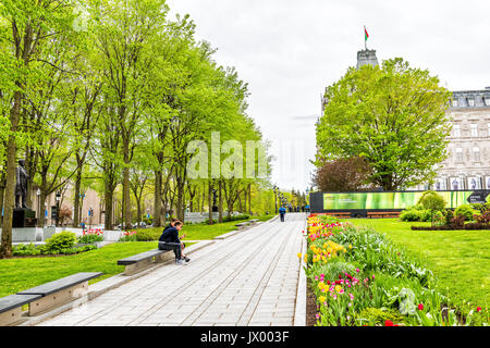 La ville de Québec, Canada - 29 mai 2017 : Fleurs de tulipes colorées en été par le Parlement park avec des statues et des trottoirs. Banque D'Images