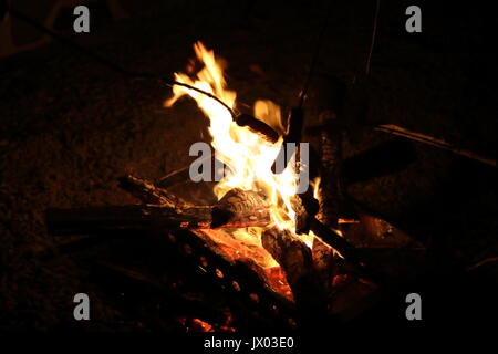 La combustion de bois de chauffage la nuit noire Banque D'Images