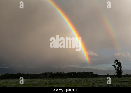 Un double arc-en-ciel lumineux sur une voûte d'arbres et de peupliers trembles appartements armoise ci-dessus. Parc National de Grand Teton, Wyoming Banque D'Images