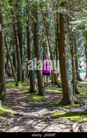 Blonde Femme d'âge moyen marche sur un sentier à travers les grands arbres avec short noir et un haut rose Banque D'Images