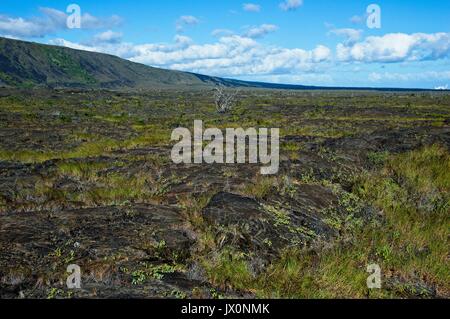 Paysage le long de la chaîne de cratères Road dans le parc national des volcans Banque D'Images