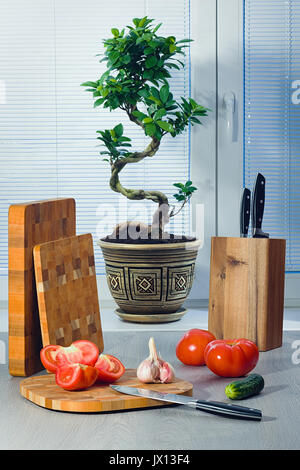 Un bonsai Ficus près d'une fenêtre sur les stores, les tomates, l'ail, un concombre, des couteaux et planches à découper un Banque D'Images