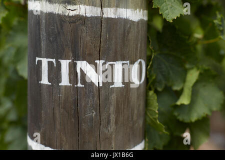 Tinto vin rouge espagnol signe au pochoir sur vine posts Banque D'Images