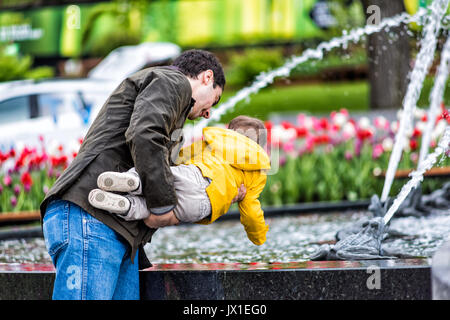 La ville de Québec, Canada - 30 mai 2017 : Tulip fleurs et grande fontaine en été par rond-point sur l'Avenue Honoré Mercier avec père jouant avec daughte Banque D'Images