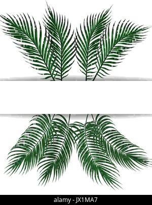 Vert foncé feuilles de palmier tropical. Place pour la publicité, annonces. Set. Isolé sur fond blanc. Illustration de Vecteur