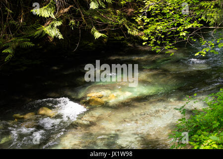 Les belles couleurs de Cheakamus rivière qui coule à travers le parc provincial Brandywine près de Whistler British Columbia Canada Banque D'Images