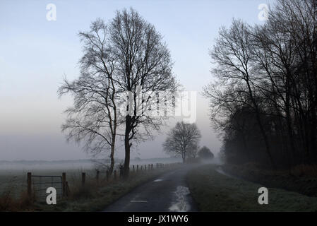 Beau paysage Teufelsmoor près de Brême - Allemagne Banque D'Images