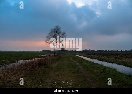 Beau paysage Teufelsmoor près de Brême - Allemagne Banque D'Images