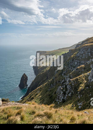 Falaises et paysage, mer, Sandymount, Otago, île du Sud, Nouvelle-Zélande Banque D'Images