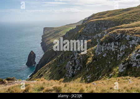 Falaises et paysage, mer, Sandymount, Otago, île du Sud, Nouvelle-Zélande Banque D'Images