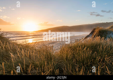 Coucher du soleil sur la plage, la baie de phlébotome, Otago, île du Sud, Nouvelle-Zélande