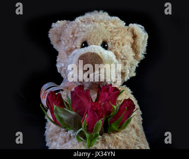 Gund Ours holding Roses Banque D'Images