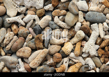 Coral Beach l'île de Tioman en Malaisie Banque D'Images