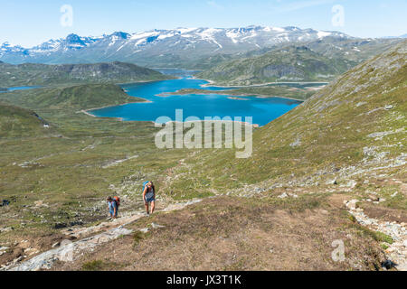 LEIRA,Norvège 19-07-2017 : personnes non identifiées à la piste de marche dans le parc national de bitihorn à stavtjedtet avec lacs fjord et neige sur le Banque D'Images