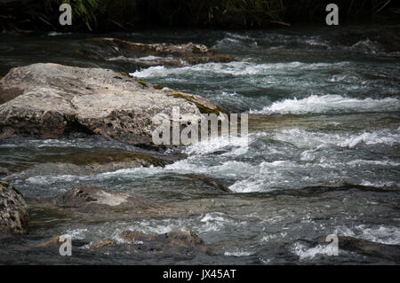 Des pierres dans une rivière de montagne. L'écoulement de l'eau rapide dans la rivière dans l'arrière-plan. Banque D'Images