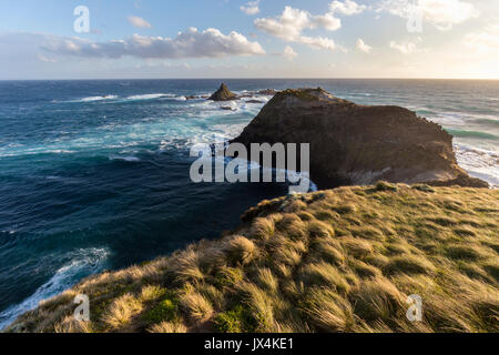 Des vues spectaculaires sur la côte et sur le détroit de Bass au Cap Woolamai réserve naturelle, Victoria, Australie Banque D'Images